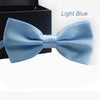 Colour Bow Tie