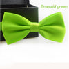 Colour Bow Tie