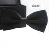 Colour Bow Tie