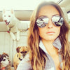 Unisex Pilot Sunglasses