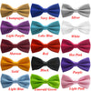 Colour Bow Tie