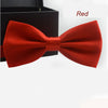 Colour Bow Tie