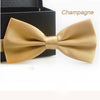 Colour Bow Tie