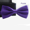 Colour Bow Tie